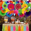 ZERODECO Party Decorations, 41 Pcs Multicoloured Papar Fans Pompoms Garlands