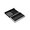 KARIN Realbrush Pigment Passion Colors - a collection of 12