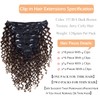 Clip in Human Hair Extensions Afro Jerry Curly 3B 3C