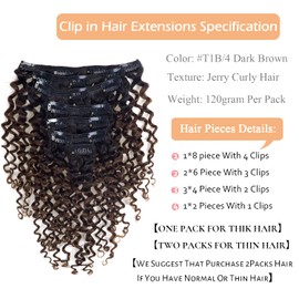 Clip in Human Hair Extensions Afro Jerry Curly 3B 3C Real Hair Clip in Extensions For Black Women Natural Black Color 100% Brazilian African American Hair Extension (14 inch, Jerry Curly #1B/4)
