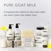 Beekman 1802 Goat Milk Hand & Body Wash, Pure -