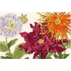 Bothy Threads Dahlia Blossom Counted Cross Stitch Kit 36x24cm XBD11