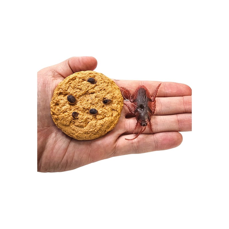 Zugar Land Cookie Surprise (1 Piece) Soft Plastic Prank Toy