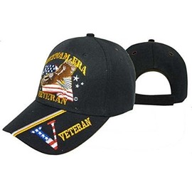 AES Vietnam Era Veteran Military Hat Baseball Cap (You are Appreciated) Multi
