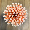 Stripe Paper Straws - Party Supply - Orange White -