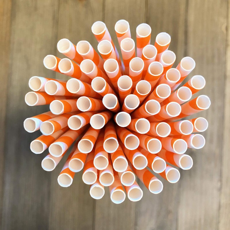 Stripe Paper Straws - Party Supply - Orange White -