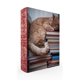 Cat Nap Book Box Puzzle 1000 Piece, Clamshell