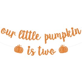 Our Little Pumpkin is Two Banner, Two Sweet, Fall Themed 2nd Birthday, Thanksgiving Autumn Happy 2nd Birthday Party Decorations for Kids