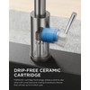 FORIOUS Kitchen Faucets with Soap Dispenser, Brushed Nickel Kitchen Faucets