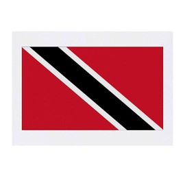 'Trinidad & Tobago Flag' Temporary Tattoo - Water Resistant, Skin-Safe, Non-Toxic Transfer (TO00031464)