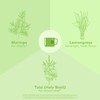 ORGANIC INDIA Tulsi Moringa Tea Bags- Holy Basil, Lemongrass, Moringa