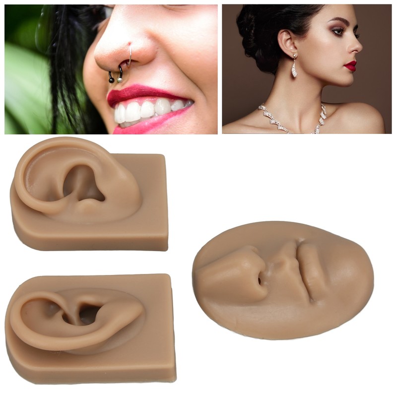 3D Nose and Mouth Model Silicone Ear Model Simulation Display