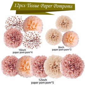 KUNYYI Rose Gradient Tissue Paper Pom poms 12pcs Flowers Balls Decoration Set, Handmade Wrinkle Design, Suitable for Women Girls Birthday Princess Party Festivals and Celebrations