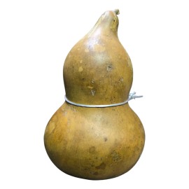 Guaje Bule Grande Para Agua, Jarabes, Fermentar Tos Asma