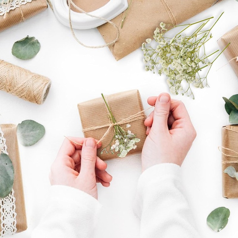 100PCS Dried Pressed Flowers,Natural Baby Breath Dried,Dry Flowers