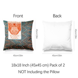 Berkin Arts Decorative Square Throw Pillow Covers Farmhouse Cushion Cases Designed of Art Decor, Polyester Blend. Pack of 2, 18x18 Inch. Cozy Printed for Living Room (Love Wings by Koloman Moser)