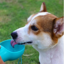 CAVA HEAT LAKE Three in one Portable Dog Water Bottle (Blue)