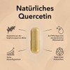 Medicom Quercetin with Sophora Japonica Extract, 60 Capsules