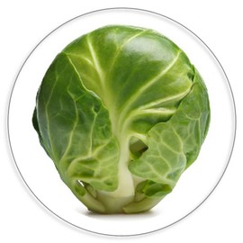 Brussels Sprout - Circle Sticker Decal 3 Inch - Vegetable Veg