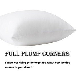 ETASOP Pack of 4 Throw Pillow Inserts, 18 x 18 Square Cushion Inner Soft Fluffy Plump Stuffer Cushion Pads White Decorative Pillow Inserts (20x20 Inch (Pack of 4))