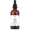 Herbity Horsetail Tincture – Alcohol-Free Herbal Extract for Hair, Skin,