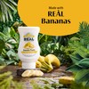 BANANA REÀL, Banana Puree Infused Syrup, 16.9 FL OZ Squeezable