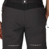 Regatta Mens Mountain II Shorts Ash/Black