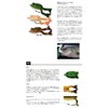 Smith LTD Frog Strike Frog No. 07 MG