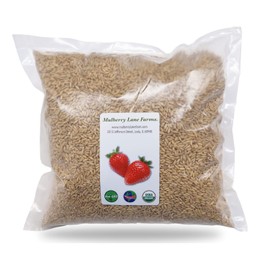 Whole Oats 5 Pounds Hulled, Groats, USDA Certified Organic Non-GMO Bulk, Mulberry Lane Farms