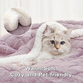 Gracelife Sherpa Throw Blanket Fleece Blanket, Soft Fluffy Blanket for Couch 60”*80”, Large Thick Blanket for All Season Use, Purple