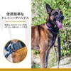 OneTigris Dog Collar, Adjustable, Easy to Wear, Pull Prevention, Includes
