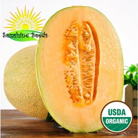 sunshine seeds Hami Melon seeds (20) Sweet / Delicious / ORGANIC FL GROWN