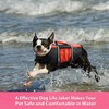 Queenmore Small Dog Life Jacket, Adjustable Pet Life Vest for
