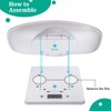 Reptiles Weight Scale,Small Animal Scale with Precision Grams,Multi-Function LED Display