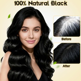 Black Hair Dye Shampoo 3 in 1 for Gray Hair, Herbal Ingredients Natural Color Shampoo Hair Dye for Women Men