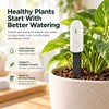 Soil Moisture Tester for Indoor Plants & Garden Watering –