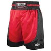 Ringside Youth Pro-Style Boxing Trunks