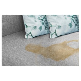 Captain Clean Urine Ex 650 ml