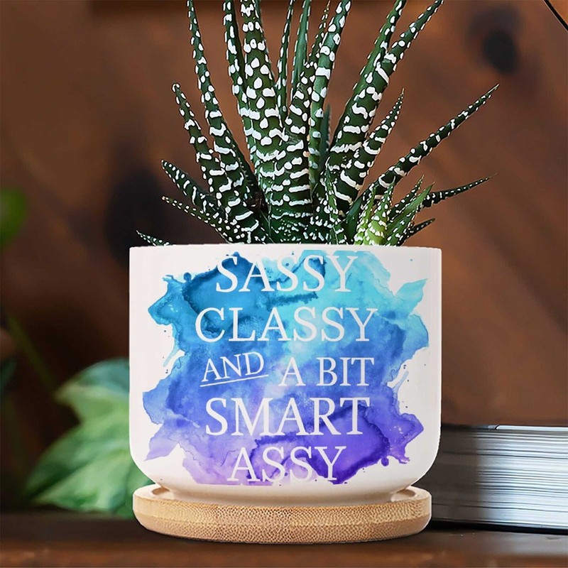 DecStic Sassy Classy and Smart Assy Planters Ceramic Quote Saying