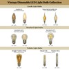 Royal Designs, Inc. LB-1506-6 Vintage Dimmable Edison Light Bulbs with