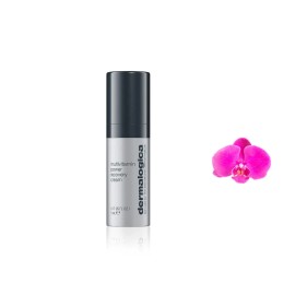 Dermalogica Multivitamin Power Recovery Cream 5ml / 0.17oz