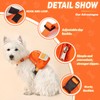 Bagentry Orange Dog Harness Backpack with Leash & Poop Bag
