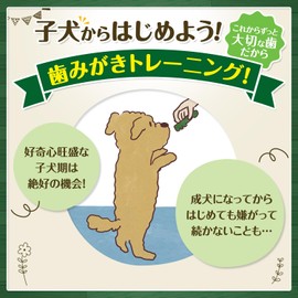 Greenies Plus Puppy Teeth Cleaning Training Gum Dog Treats Chicken 10 Count