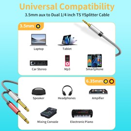 PPTVC 3.5mm 1/8" TRS Male to 2X 6.35mm 1/4" TS 30ft,Male Mono Stereo Y-Cable Splitter Compatible for Home Stereo Systems, Laptop,Amplifier, Mixer Audio Recorder，MP3, etc