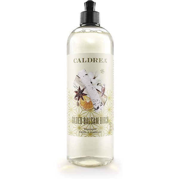 Caldrea Dish Soap, Biodegradable Dishwashing Liquid made with Soap Bark and Aloe Vera, Gilded Balsam Birch Scent, 16 oz (Packaging May Vary)