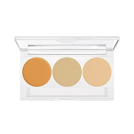 Derma Color Perfect Concealer Palette for Body 0.4 oz (10 g)