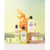 L'Occitane Osmanthus Ariko Perfumed Body Milk, 8.5 fl oz (250