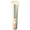 Ten Zero Daily Lip Volume Winter Cool Tone Dry Lip