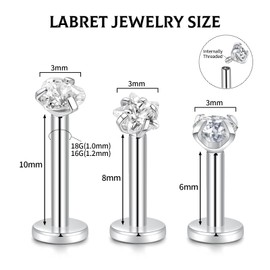 hengkaixuan G23 Titanium Labret Stud Earrings Lip Piercings Cartilage Earrings Helix Stud Earrings with Internal Thread Monroe Medusa Ring 18G 16G Tragus Conch Stud Earrings with CZ for Women Men 3