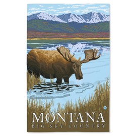 Lantern Press 16x24 Inch Giclee Print, Montana, Moose Drinking at Lake